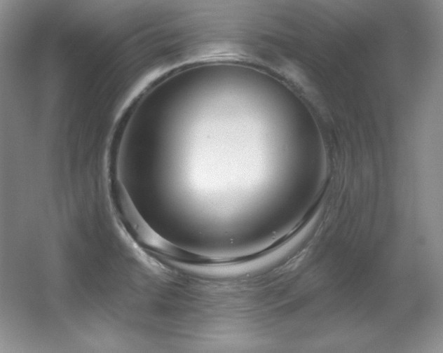 X0000067941422200604131437