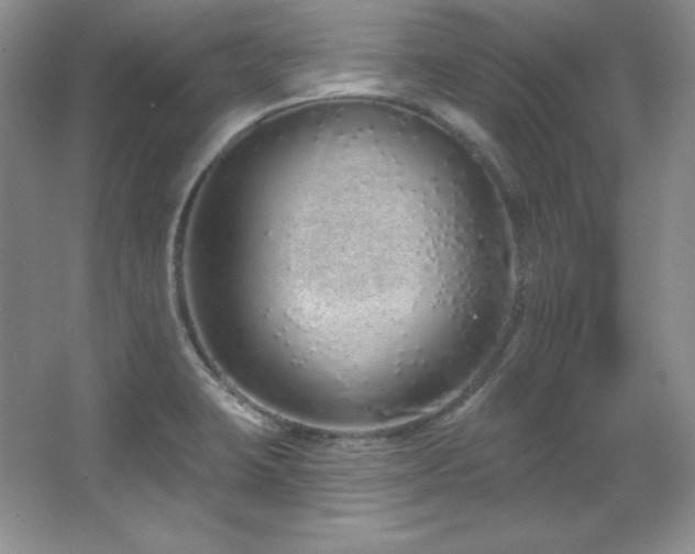 X0000067941423200604131437