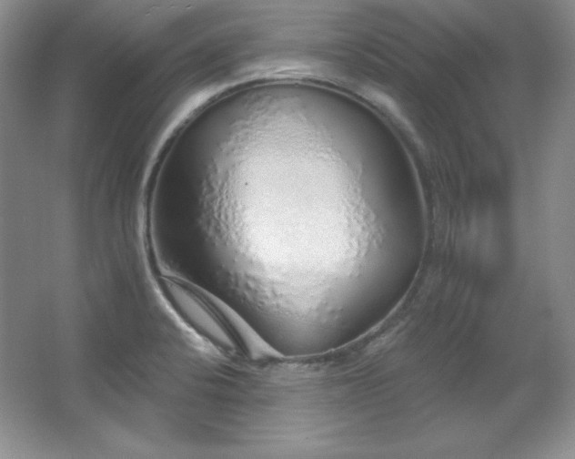 X0000067941424200604131437
