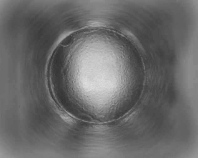 X0000067941427200604131437