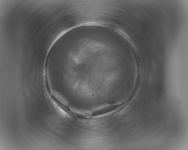 X0000067941428200604131437