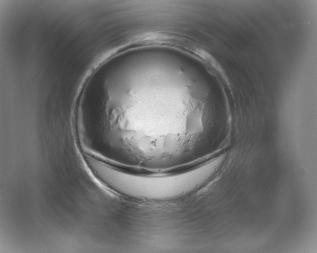 X0000067941429200604131437