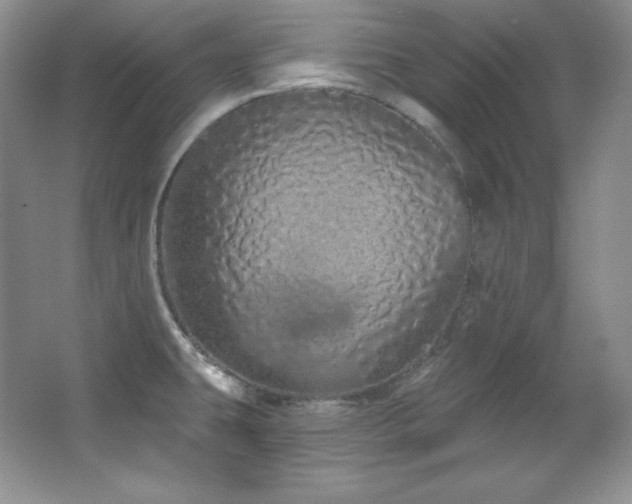 X0000067941431200604131437