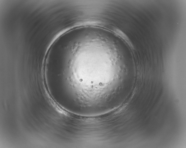 X0000067941436200604131437