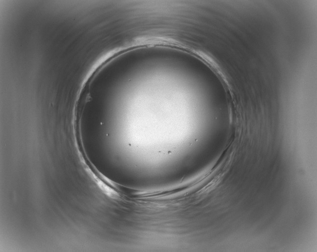 X0000067941438200604131437