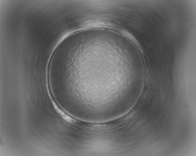 X0000067941439200604131437