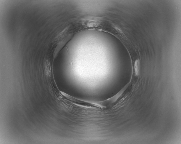 X0000067941443200604131436