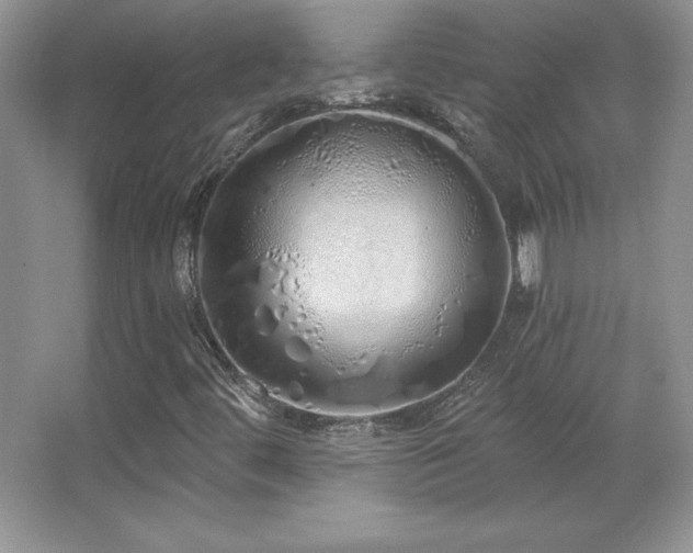 X0000067941444200604131436