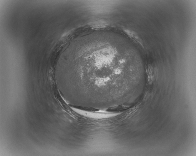 X0000067941445200604131436