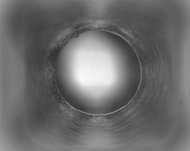 X0000067941447200604131436