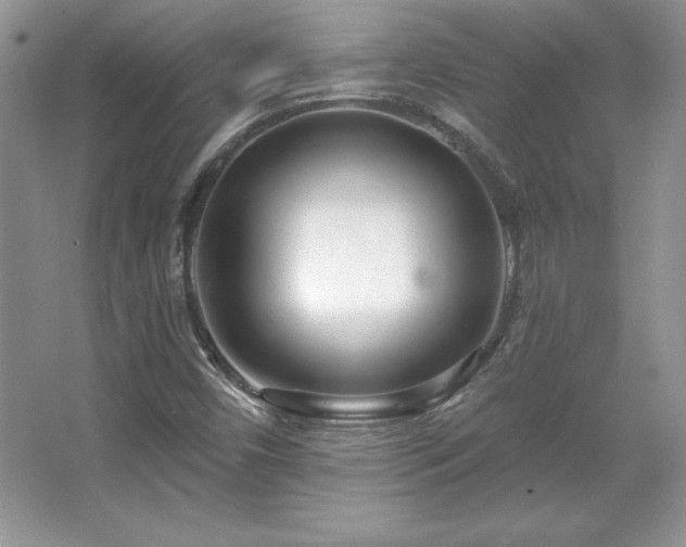 X0000067941450200604131436