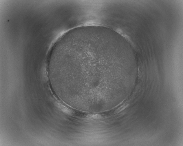 X0000067941454200604131436