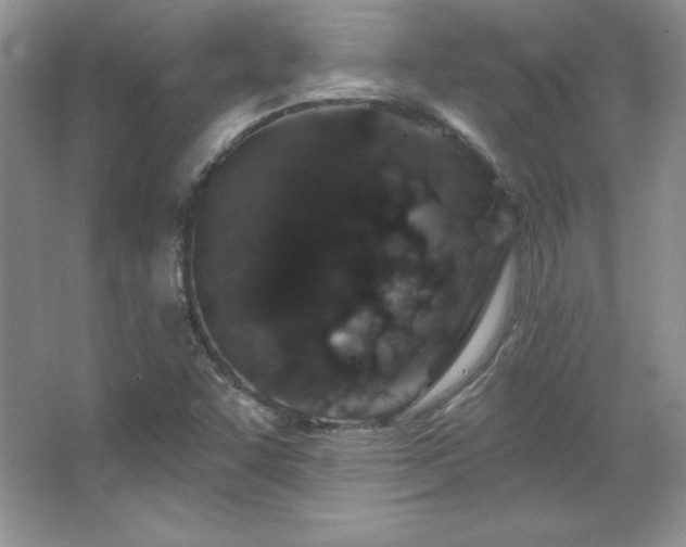 X0000067941455200604131436