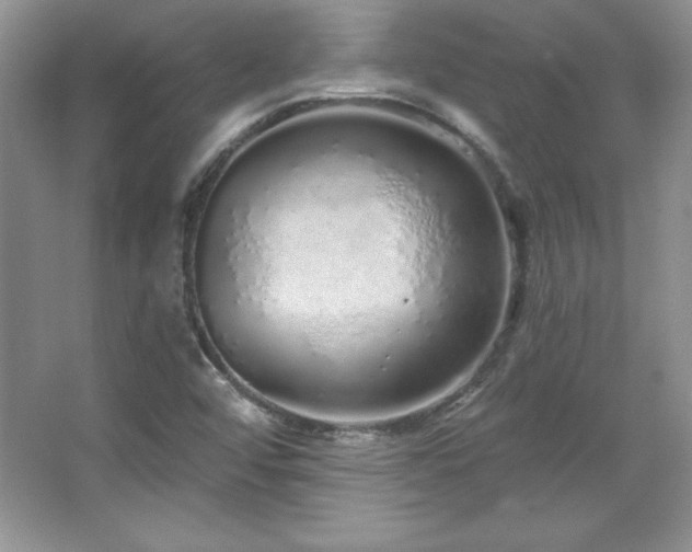 X0000067941456200604131436