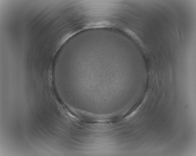 X0000067941457200604131436