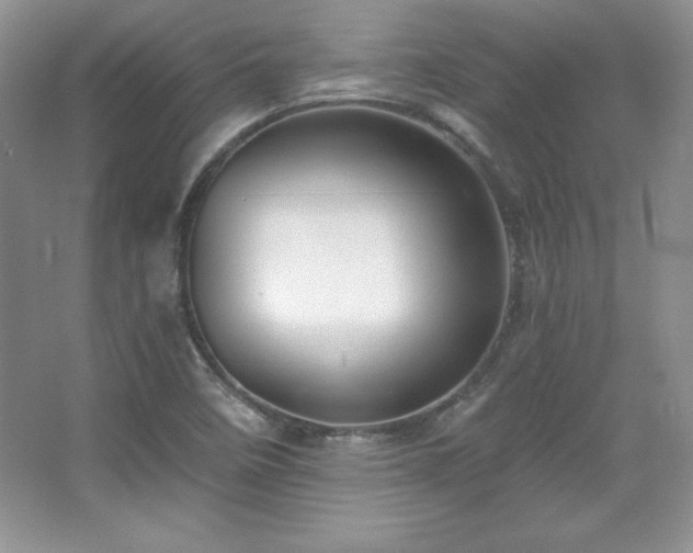 X0000067941458200604131436