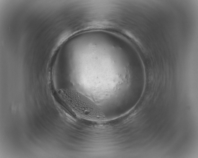 X0000067941459200604131436