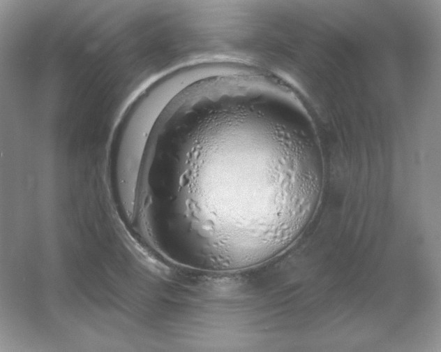 X0000067941460200604131436