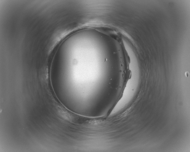 X0000067941461200604131436
