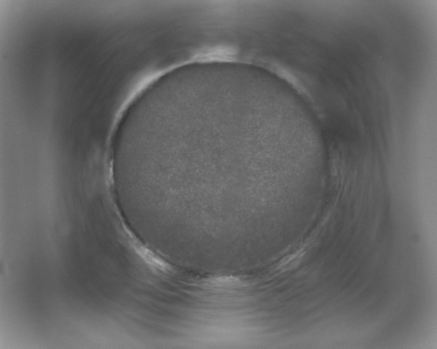 X0000067941462200604131436