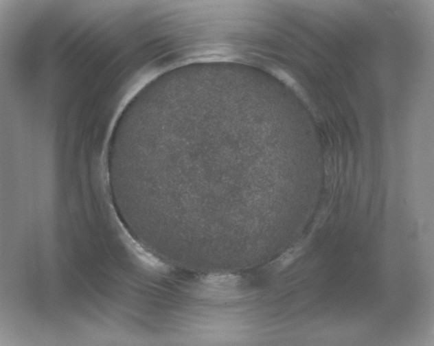 X0000067941466200604131436