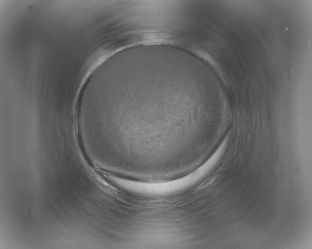 X0000067941467200604131436