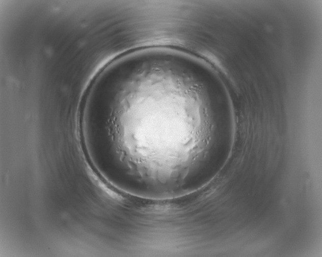X0000067941468200604131436