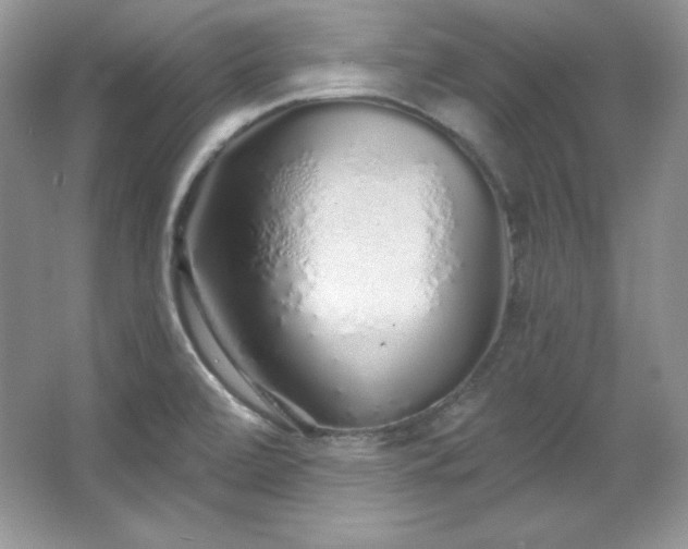 X0000067941472200604131436