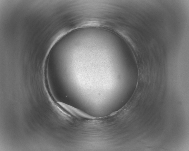 X0000067941475200604131436