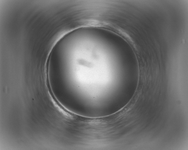 X0000067941479200604131436
