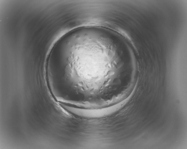 X0000067941480200604131436