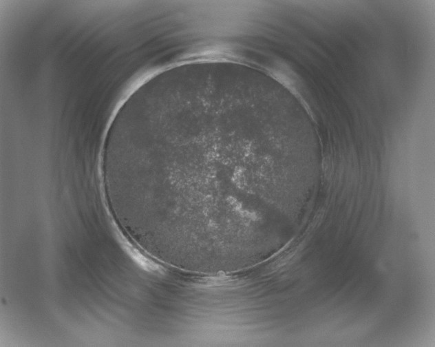 X0000067941482200604131436