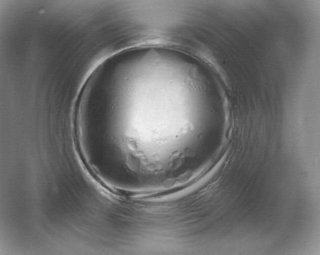X0000067941483200604131436