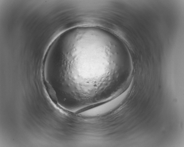 X0000067941484200604131436
