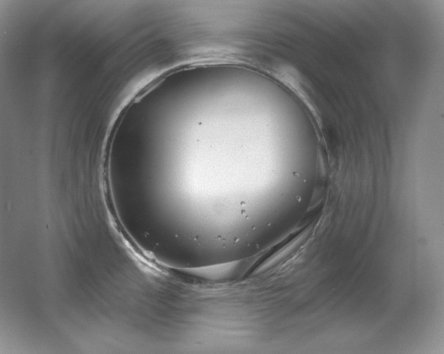 X0000067941485200604131436