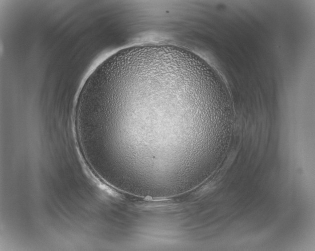 X0000067941486200604131436