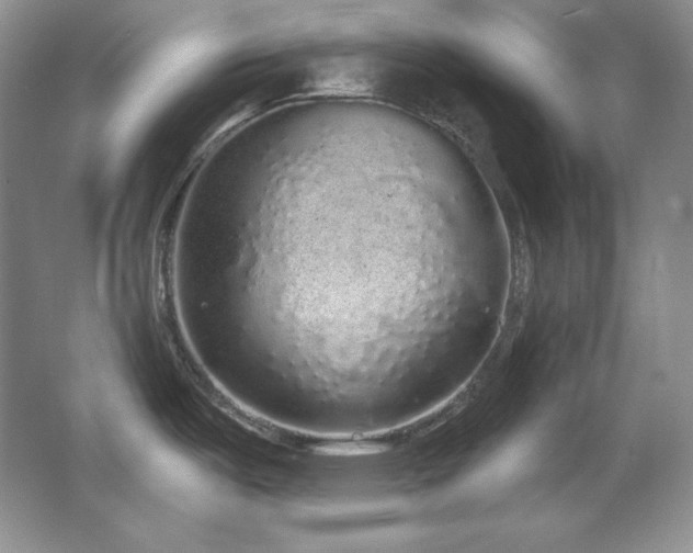 X0000067941487200604131436