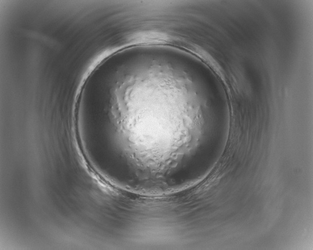 X0000067941488200604131436