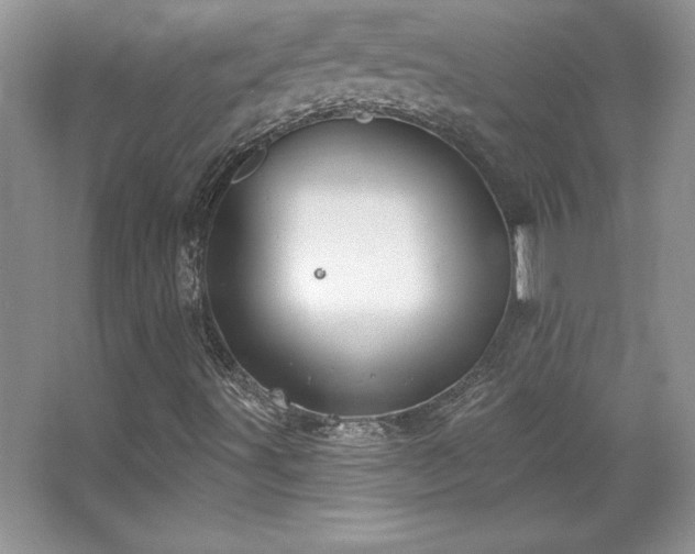 X0000067941491200604131435