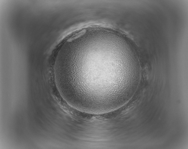 X0000067941496200604131435
