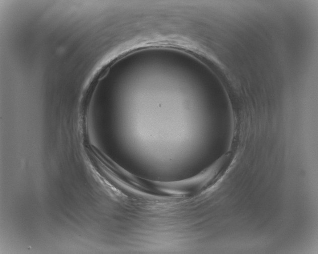 X0000067941506200604131435
