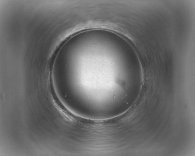 X0000067941507200604131435