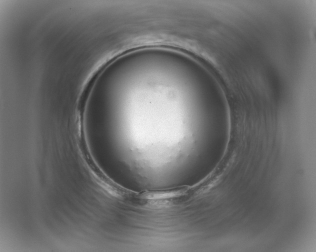 X0000067941509200604131435