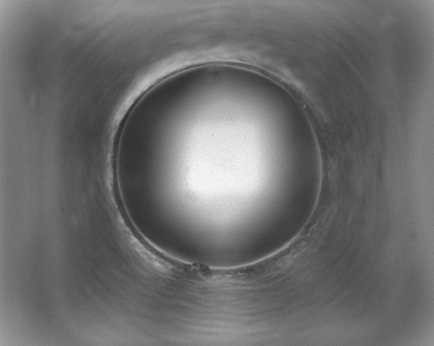 X0000067941512200604131435