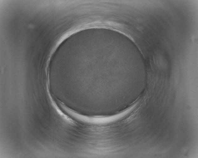 X0000067941515200604131435