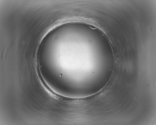 X0000067941523200604131435