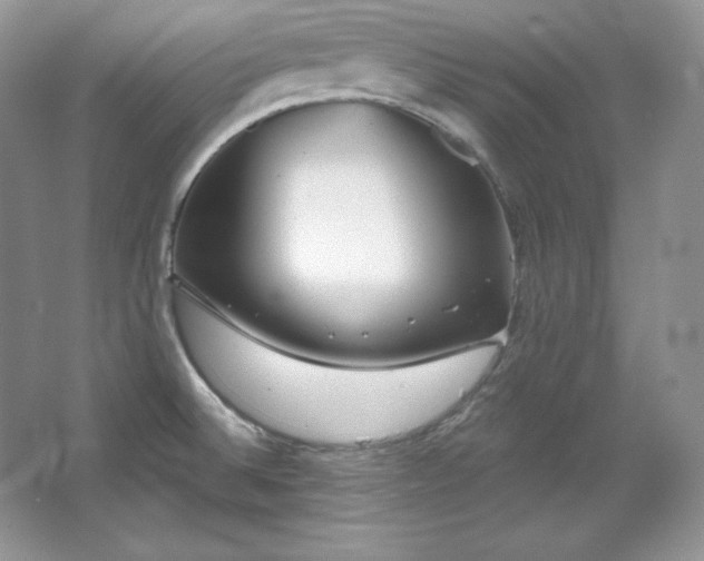 X0000067941524200604131435