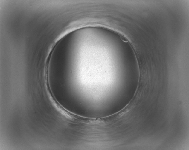 X0000067941526200604131436