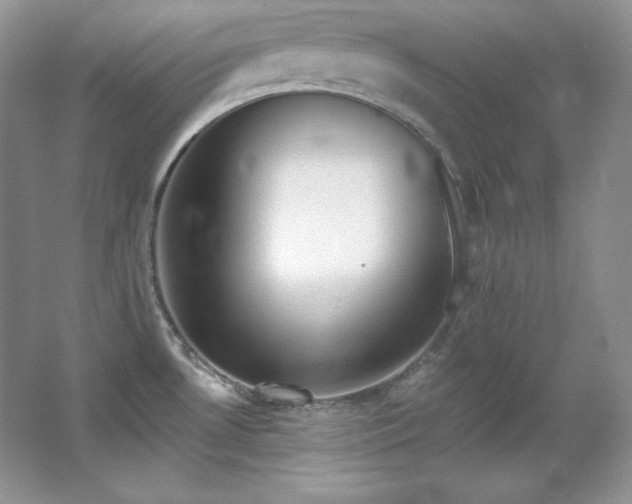 X0000067941530200604131436