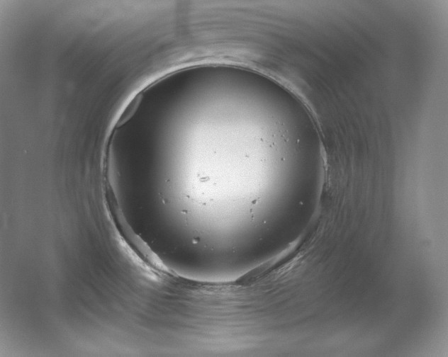 X0000067941532200604131436